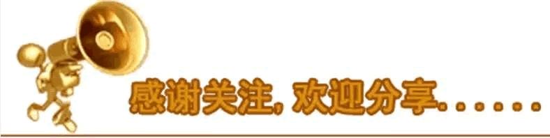Dan Shen: Not Just a Supplement, but a Vital Herb for Blood Circulation and Calming the Mind