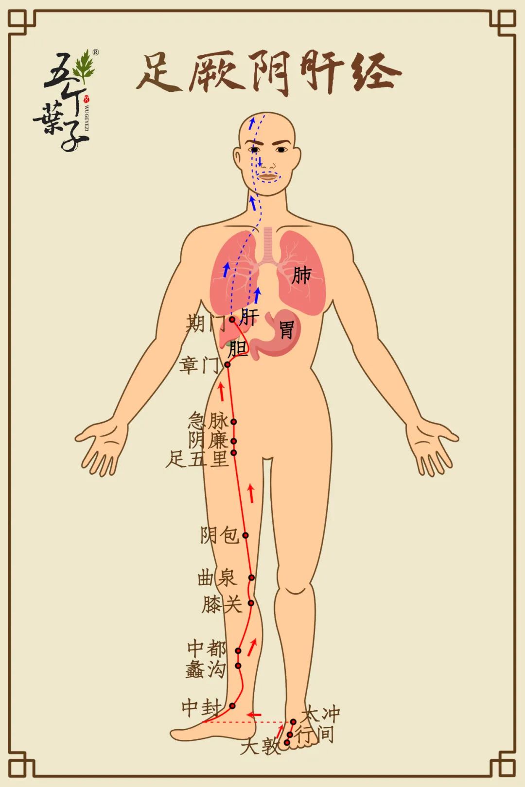 Moxibustion to Prevent the Three Evils: Achieve Clarity and Vitality with These Practices
