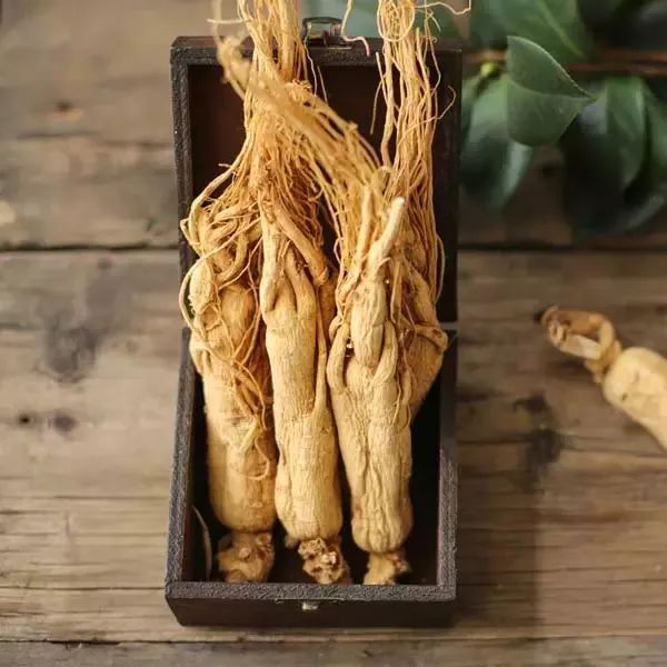 The Benefits of Drinking Ginseng Infusion and 11 Types of People Who Should Avoid It