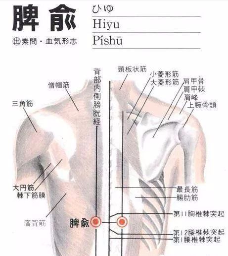 50 Common Acupuncture Points for Treating Various Ailments