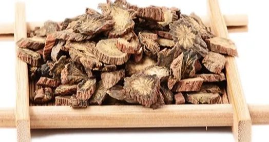Commonly Used Mongolian Medicinal Material - Dan Shen (Salvia Miltiorrhiza)