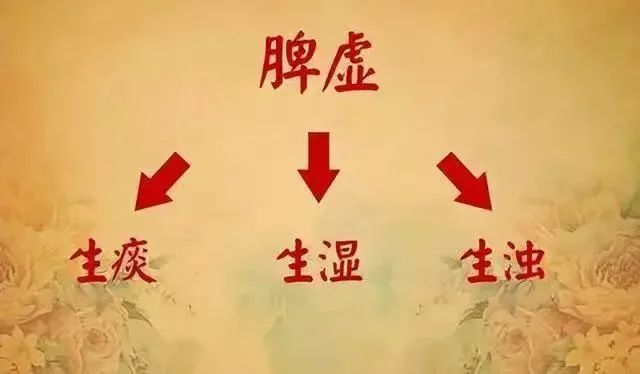 Identifying TCM Constitutions: Phlegm-Dampness as the Root of Obesity!