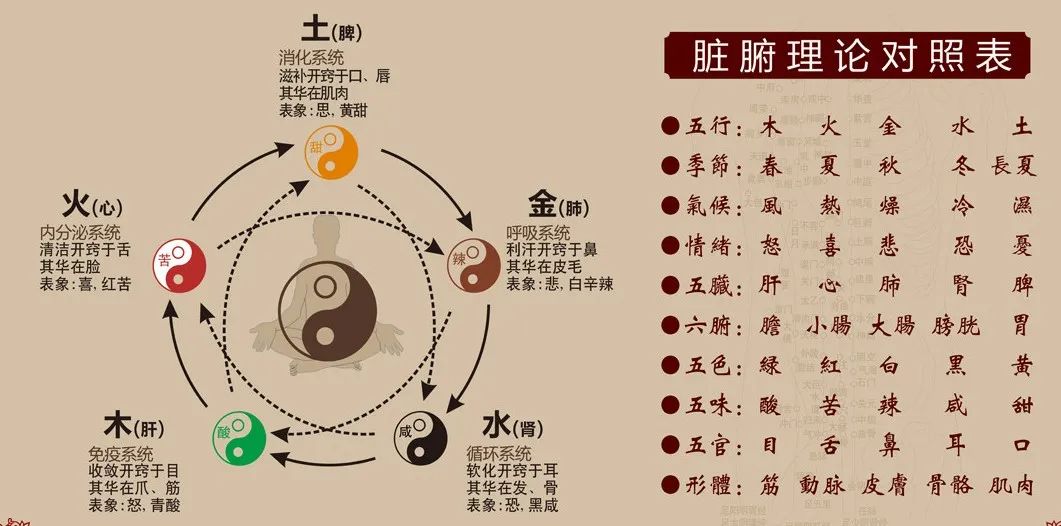 Daily Learning | In-Depth Interpretation of the Generating and Overcoming Relationships of the Five Elements