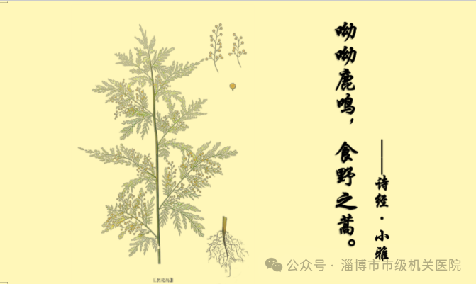 Exploring 'Bencao Gangmu' Through Poetry