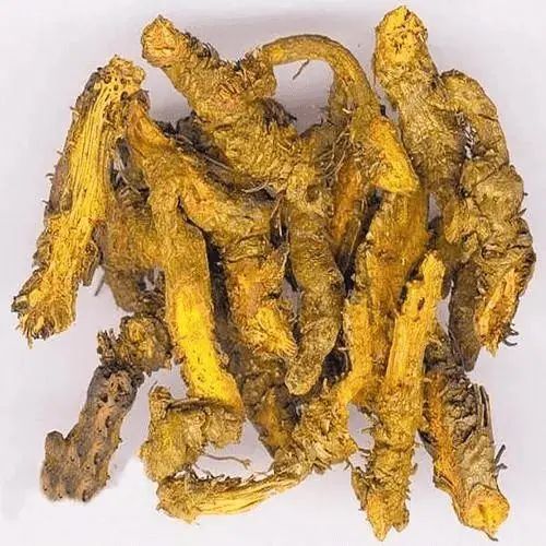 The Efficacy and Functions of Huang Lian (Coptis Rhizoma)