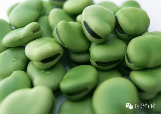 Nourishing with Grains: 6 Types of Beans for Summer Health