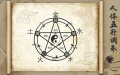 Traditional Chinese Medicine: The Interconnectedness of the Five Organs and Its Health Principles