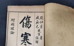 Spleen and Kidney Yang Deficiency: A Classic TCM Formula by Zhang Zhongjing