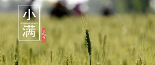 Preparing for the Humid and Hot Days of the Year: Tips for Health During Xiaoman