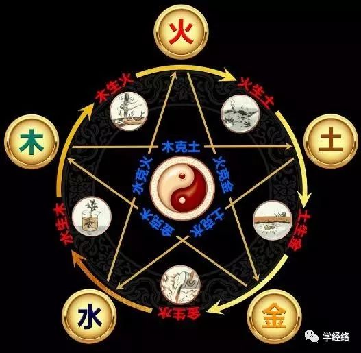 Preventing Liver and Spleen Diseases: TCM Teaches You the Interactions of the Five Elements and Organs