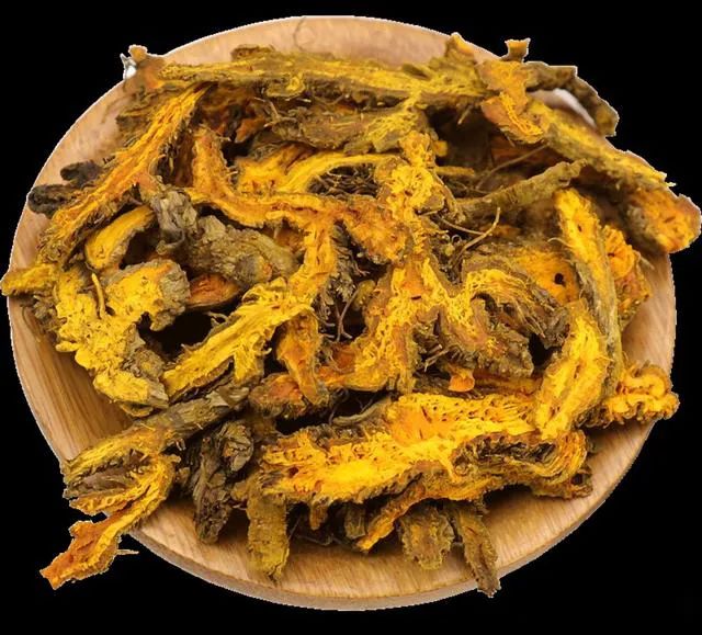 The TCM Perspective on Huang Lian (Coptis chinensis)