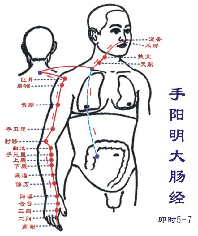 Essentials: The Twelve Meridians and Their Source, Luo, and Transport Points (Summary with Images)