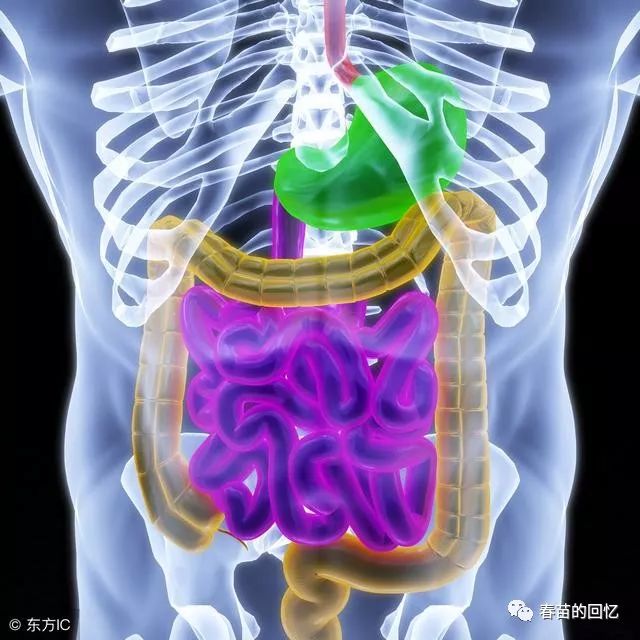 TCM Deficiency Syndromes: Yin Deficiency and Clinical Manifestations