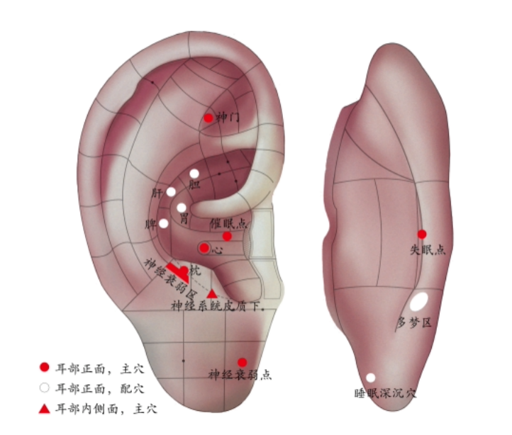 Gua Sha: The 'Master of Unblocking' for the Body