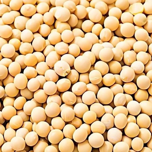 Nourishing with Grains: The Importance of Beans in Spring