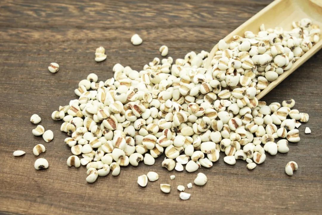 The Medicinal Value of Job's Tears (Coix Seed)