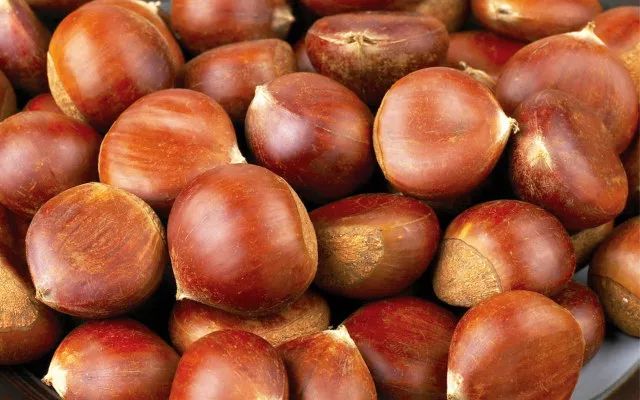 Top Ten Yang-Warming and Cold-Dispelling Ingredients in Food Therapy