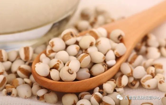 Effective Methods to Eliminate Dampness with Four Traditional Chinese Herbs