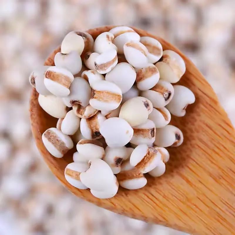 Removing Dampness and Cancer Prevention with Coix Seed: Suitable for Liver Disease and Spleen Deficiency!