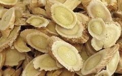 The Efficacy, Functions, and Contraindications of Astragalus (Huang Qi)