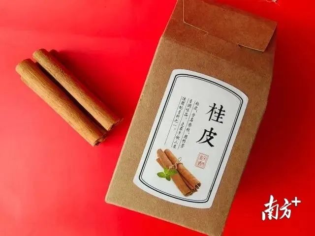 The Thousand-Year Spice: An Addiction to Luoding's Cinnamon | A Look at Lingnan Specialties