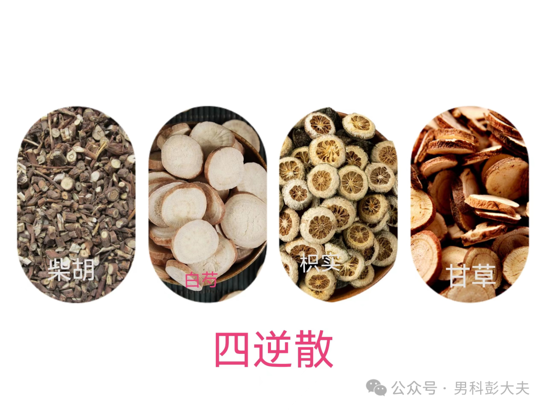 What Are the Differences Between Bu Yang, Tong Yang, and Wen Yang? Which Groups Are Suitable for Each?