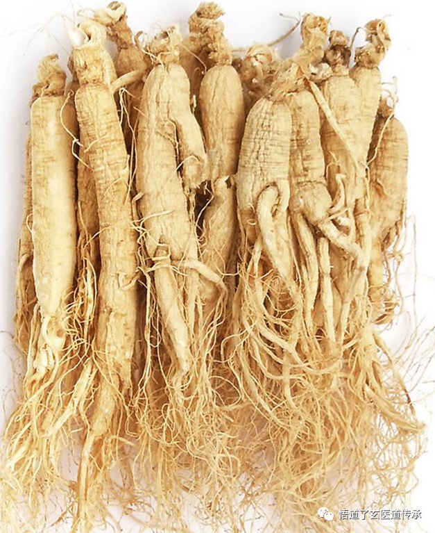 Commonly Used Chinese Medicinal Herbs and Their Properties