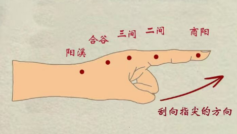 Traditional Chinese Medicine: The Five Organs and Six Bowels on Your Hands - Daily Gua Sha for Health
