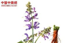 Understanding Common Chinese Medicinal Herbs for Cardiovascular Health