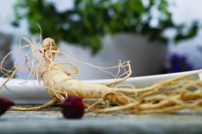 Seven Major Benefits of Eating Fresh Ginseng: The King of Herbs Lives Up to Its Name!