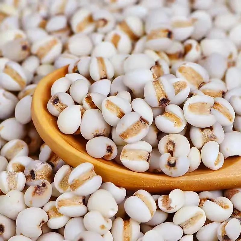 Removing Dampness and Cancer Prevention with Coix Seed: Suitable for Liver Disease and Spleen Deficiency!