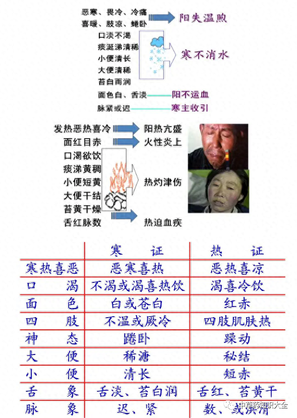 Understanding TCM Diagnosis: Eight Principles and Organ Differentiation to Enhance Your Diagnostic Skills!