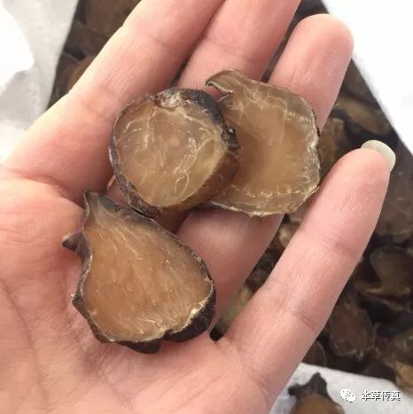 Learning Chinese Medicine from the Masters: Fu Zi (Aconite)