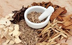 Knowledge of Veterinary Medicine | How to Choose Between Traditional Chinese Veterinary Powder and Extracts
