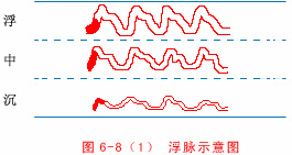 Illustrated Guide to 28 Dynamic Pulse Diagnoses in Traditional Chinese Medicine
