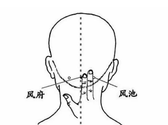 Common Acupuncture Points in Traditional Chinese Medicine for Reference