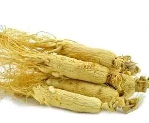 A Brief Discussion on Ginseng in Traditional Chinese Medicine