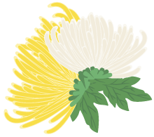 Weekly Herb Spotlight | Safflower