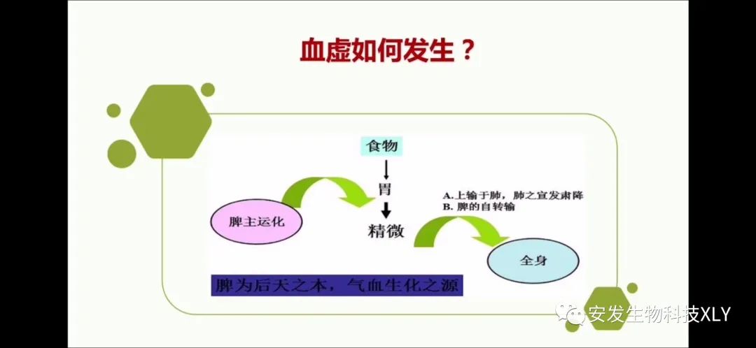 Manifestations and Regulation of Blood Deficiency