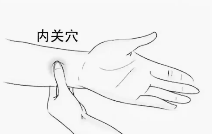 How to Ensure the Balance of Yin and Yang in the Body? Eight Tips from Traditional Chinese Medicine!
