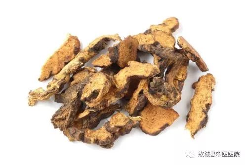 Traditional Chinese Medicine Herb: Cang Zhu (Atractylodes Rhizoma)