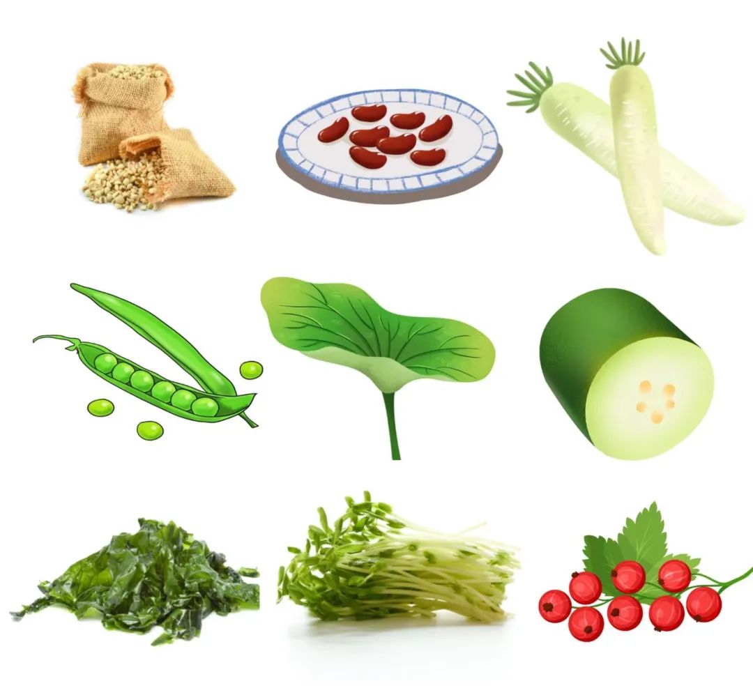 Understanding Your Body Constitution: The Path to Wellness for Phlegm-Damp Constitution