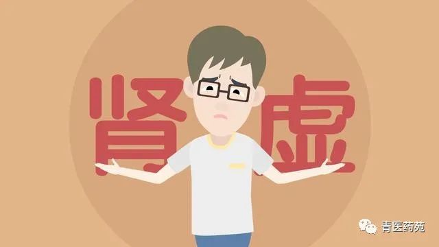Definition, Symptoms, Treatment Principles, and Basic Formulas for Kidney Yang Deficiency