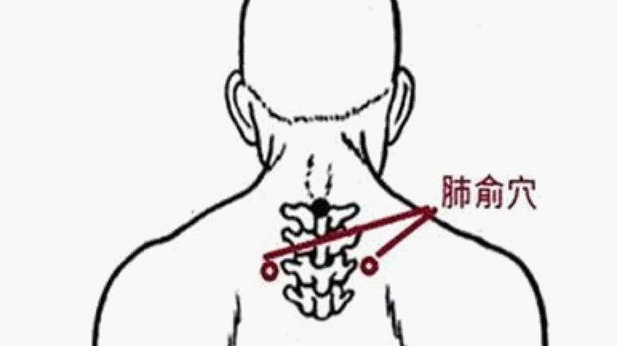 Preventive Health in Traditional Chinese Medicine: Five Principles for Health Maintenance During Cold Dew Season