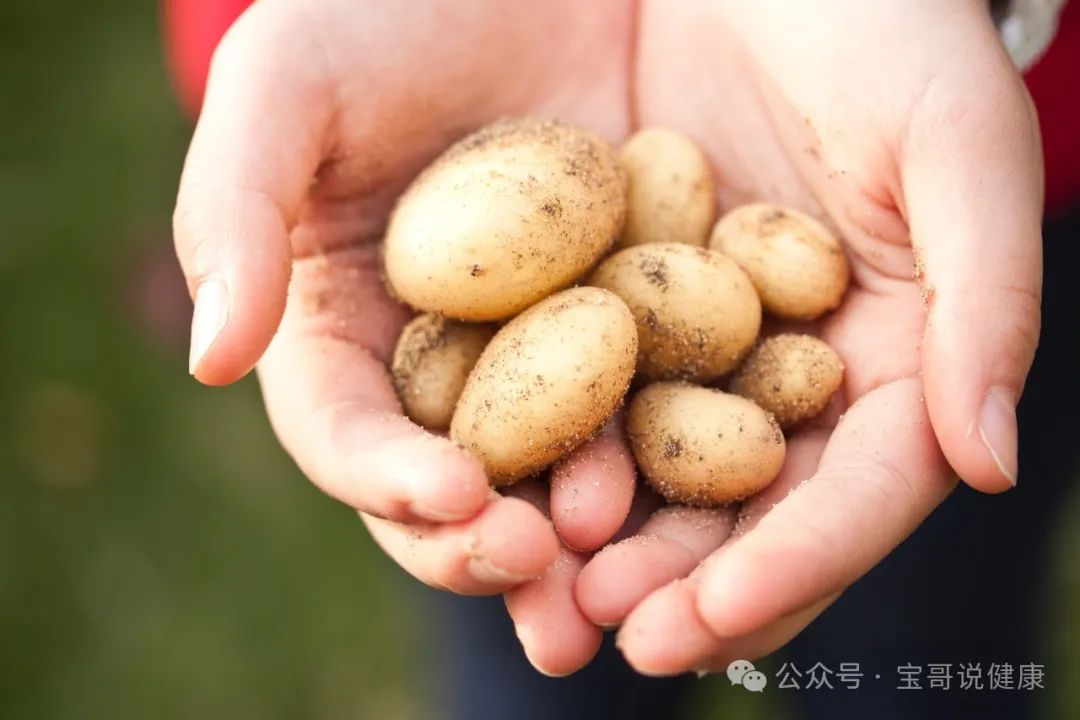 Top 10 Foods for Qi Nourishment and Health