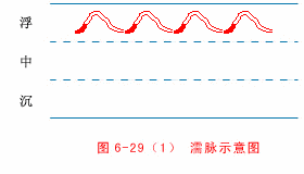The Twenty-Eight Pulses and All Pulse Patterns in Traditional Chinese Medicine (Animated Illustrations)