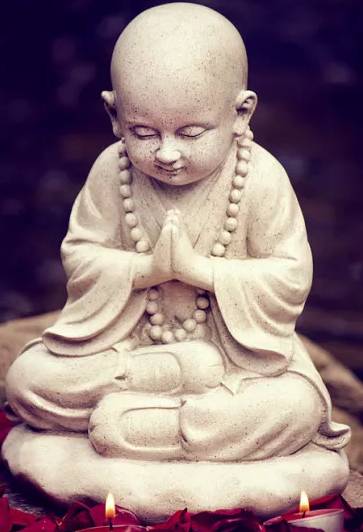 Understanding and Nurturing the Harmonious Constitution in Traditional Chinese Medicine