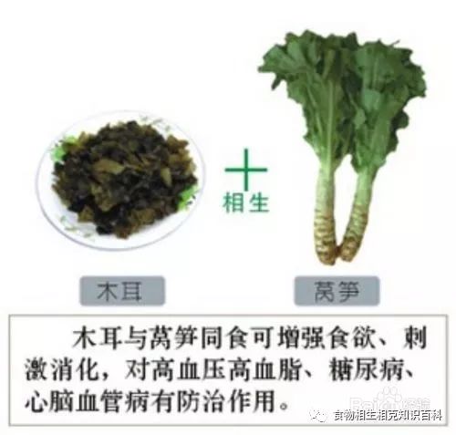 A Comprehensive Guide to Complementary and Contradictory Foods in TCM