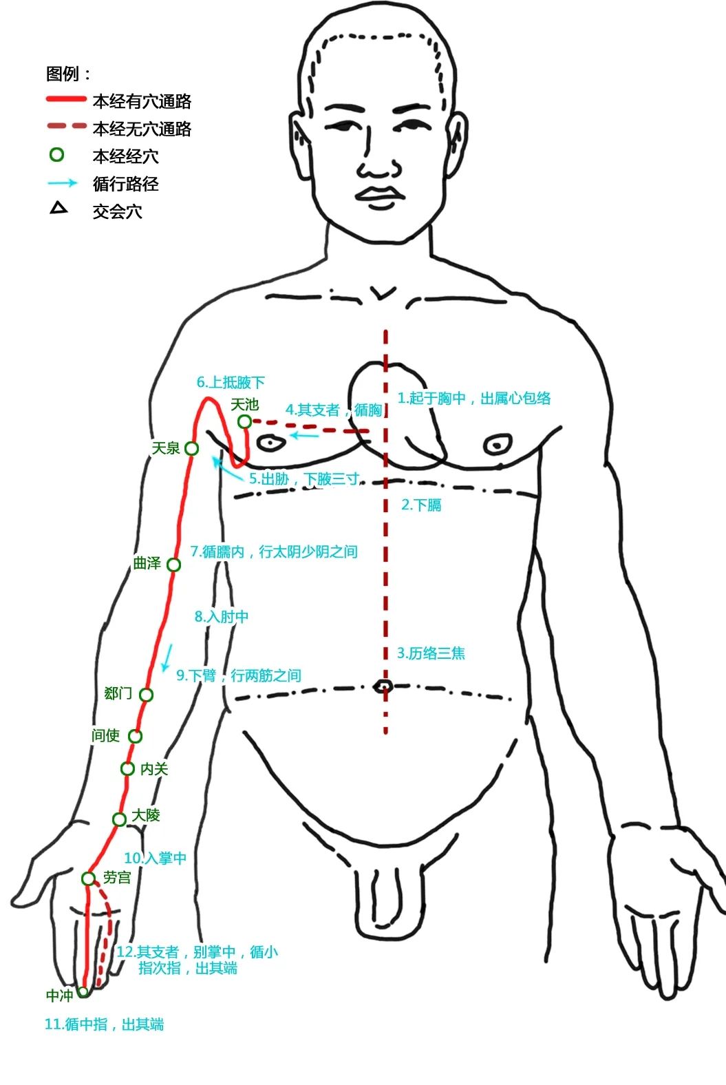 The Pathways of the Twelve Meridians and Acupuncture Points (Answer Version)
