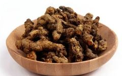 The Efficacy of Huang Lian (Coptis chinensis)